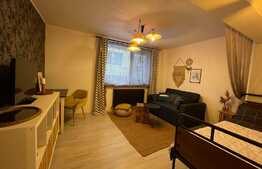 Apatament 1 camera, 40 mp, pet friendly, zona strazii Buna Ziua