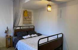 Apatament 1 camera, 40 mp, pet friendly, zona strazii Buna Ziua