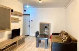 Apartament 2 camere,41 mp, recent renovat, bloc nou, zona strazii intre Lacuri, zona Iulius Mall