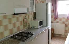 Apartament 1 camera, 28 mp, recent renovat, zona Kaufland