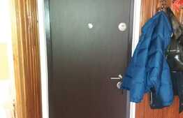 Apartament 1 camera, 28 mp, recent renovat, zona Kaufland