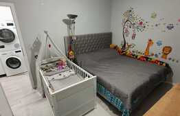 Apartament modern, 2 camere, boxa, zona strazii Teilor!