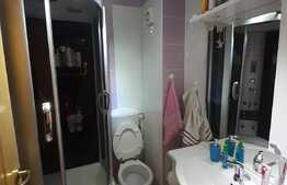 Apartament spatios 3 camere 84 mp, terasa 42 mp, zona Porii 
