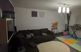 Apartament spatios 3 camere 84 mp, terasa 42 mp, zona Porii 