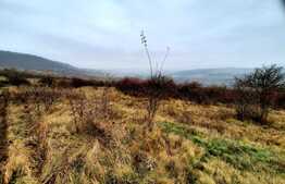 Oportunitate de investitie! Teren cu suprafata de  4050mp, in comuna Baciu 