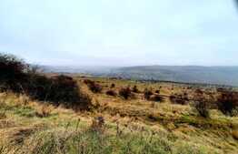 Oportunitate de investitie! Teren cu suprafata de  4050mp, in comuna Baciu 