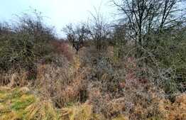 Oportunitate de investitie! Teren cu suprafata de  4050mp, in comuna Baciu 