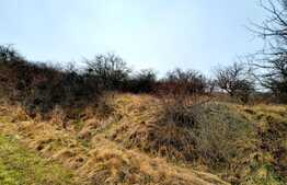 Oportunitate de investitie! Teren cu suprafata de  4050mp, in comuna Baciu 