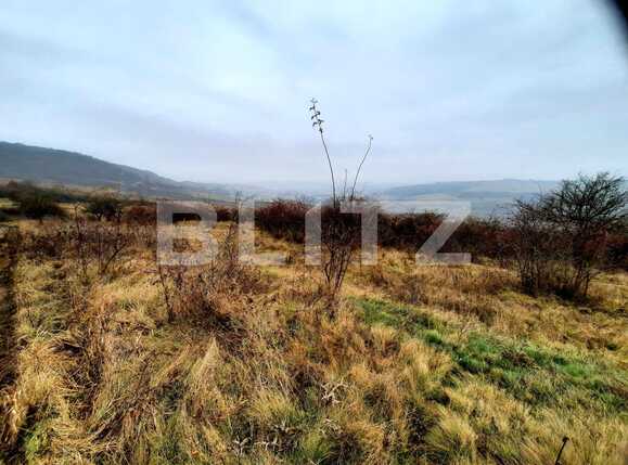 Teren de vânzare Baciu - 59506TV | BLITZ Cluj-Napoca | Poza4