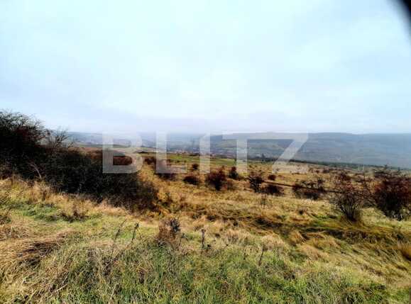 Teren de vânzare Baciu - 59506TV | BLITZ Cluj-Napoca | Poza1