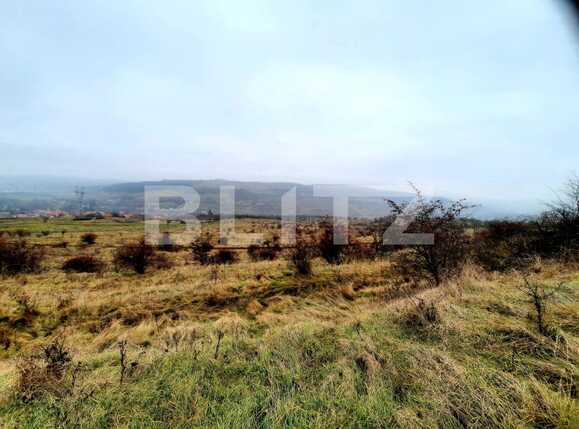 Teren de vânzare Baciu - 59506TV | BLITZ Cluj-Napoca | Poza2