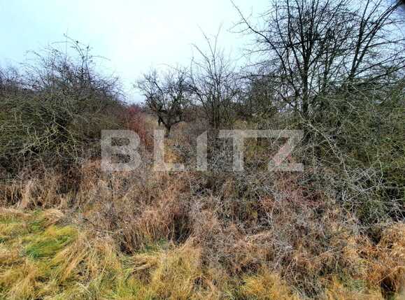 Teren de vânzare Baciu - 59506TV | BLITZ Cluj-Napoca | Poza6