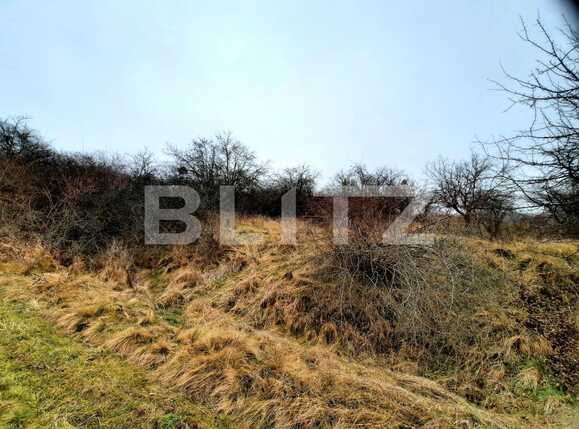 Teren de vânzare Baciu - 59506TV | BLITZ Cluj-Napoca | Poza5