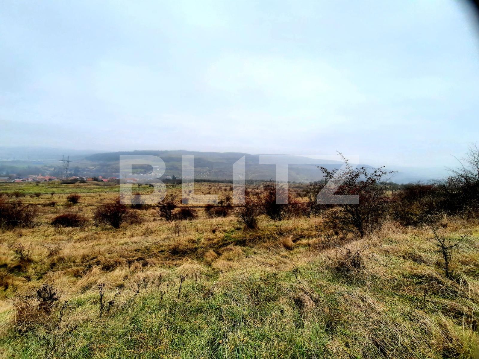 Teren de vânzare Baciu - 59506TV | BLITZ Cluj-Napoca | Poza2