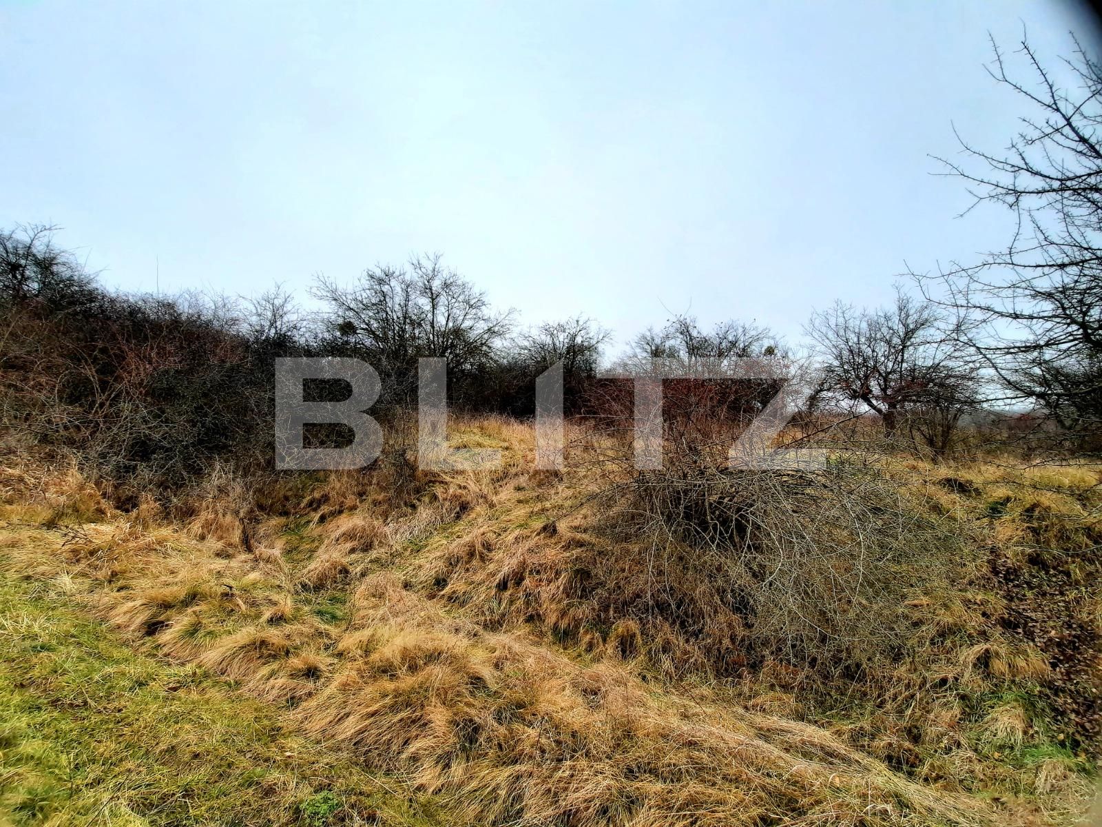 Teren de vânzare Baciu - 59506TV | BLITZ Cluj-Napoca | Poza5