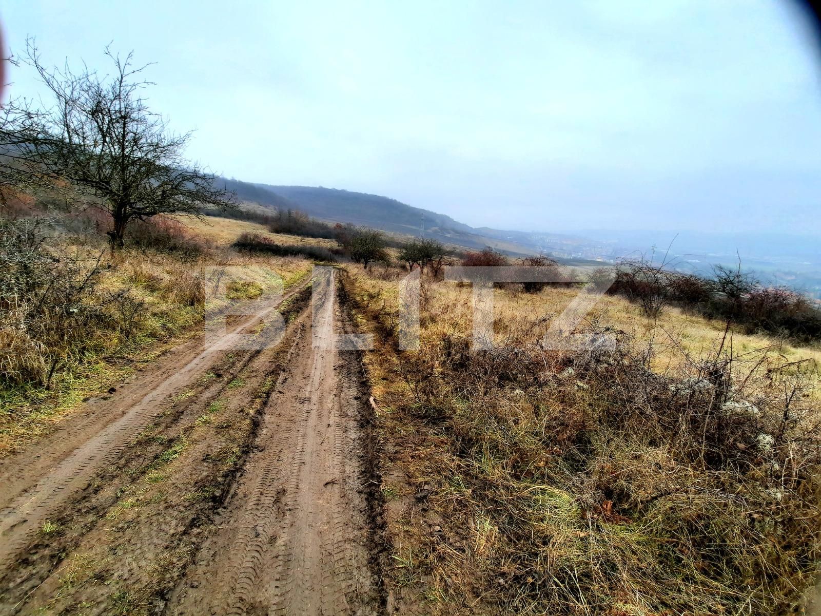 Teren de vânzare Baciu - 59506TV | BLITZ Cluj-Napoca | Poza3
