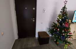 Apartament 2 camere, 42 mp, etaj intermediar, zona Teilor