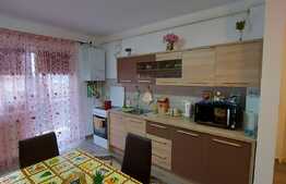 Apartament 2 camere, 42 mp, etaj intermediar, zona Teilor
