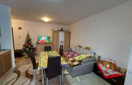 Apartament 2 camere, 42 mp, etaj intermediar, zona Teilor