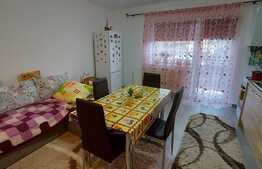 Apartament 2 camere, 42 mp, etaj intermediar, zona Teilor