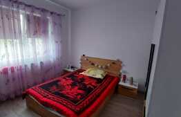 Apartament 2 camere, 42 mp, etaj intermediar, zona Teilor