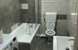 Apartament cu 2 camere, 40 mp, A.C, terasa, imobil nou, zona strazii Dambovitei