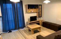 Apartament cu 2 camere, 40 mp, A.C, terasa, imobil nou, zona strazii Dambovitei