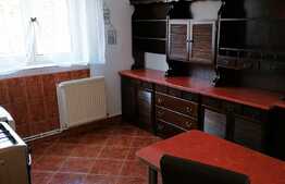 Apartament cu 2 camere, 55 mp, parcare, in zona Centru Vechi