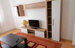 Apartament cu 2 camere, 55 mp, parcare, in zona Centru Vechi