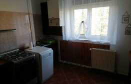 Apartament cu 2 camere, 55 mp, parcare, in zona Centru Vechi