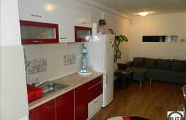 De vanzare mansarda cu 2 camere, 41 mp utili, zona strazii Florilor! Mobilata!