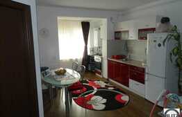 De vanzare mansarda cu 2 camere, 41 mp utili, zona strazii Florilor! Mobilata!