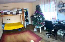 De vanzare casa cu 2 camere, 100 mp, Brasov