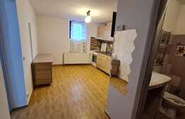 Oferta ideala pentru investitie sau birou! Apartament 42 mp zona centrala