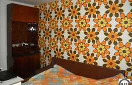 Garsoniera de inchiriat, 1 camera, etaj intermediar, zona Big!