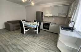 Apartament 2 camere modern, Prima Inchiriere, 41 mp, Gradina, Parcare, Zona Cetatii!
