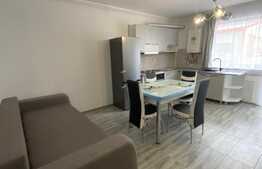 Apartament 2 camere modern, Prima Inchiriere, 41 mp, Gradina, Parcare, Zona Cetatii!