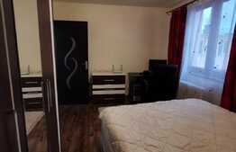 Apartament cu 2 camere, 50 de mp, pet friendly, prima inchiriere, zona Garii