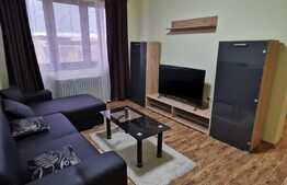 Apartament cu 2 camere, 50 de mp, pet friendly, prima inchiriere, zona Garii