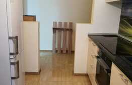 Apartament cu 2 camere, 50 de mp, pet friendly, prima inchiriere, zona Garii