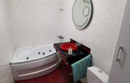 Apartament cu 2 camere, 50 de mp, pet friendly, prima inchiriere, zona Garii