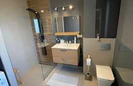 Penthouse de lux cu panorama deosebita, doua garaje, Grigorescu!