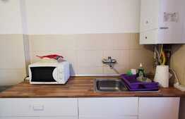 Apartament cu 2 camere, 50 de mp, pet friendly, prima inchiriere, zona Garii