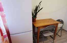 Apartament cu 2 camere, 50 de mp, pet friendly, prima inchiriere, zona Garii