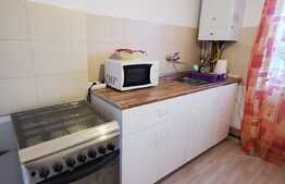 Apartament cu 2 camere, 50 de mp, pet friendly, prima inchiriere, zona Garii