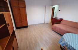 Apartament cu 2 camere, 50 de mp, pet friendly, prima inchiriere, zona Garii