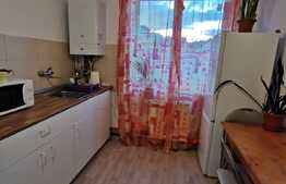 Apartament cu 2 camere, 50 de mp, pet friendly, prima inchiriere, zona Garii