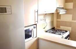Apartament 3 camere decomandate, 65 mp, zona strazii Louis Pasteur, Pet friendly