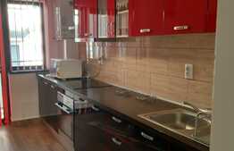 Apartament 2 camere decomandate, 55 mp, zona Stejarului 