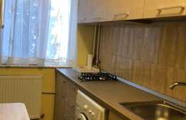 Apartament 2 camere, 45 mp, zona Casa Piratilor